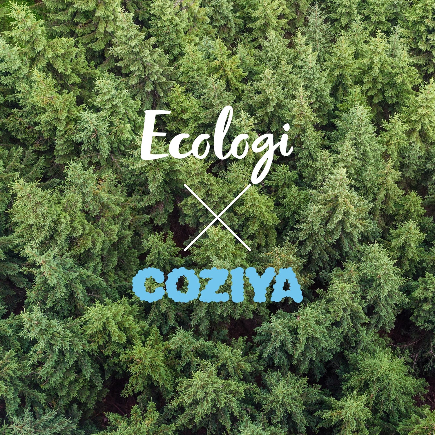 coziya_x_ecologi_matelas_gonflable